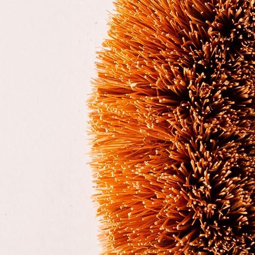 Eco-Friendly 3-Pack of 100 Natural Coconut Coir Kitchen Brushes