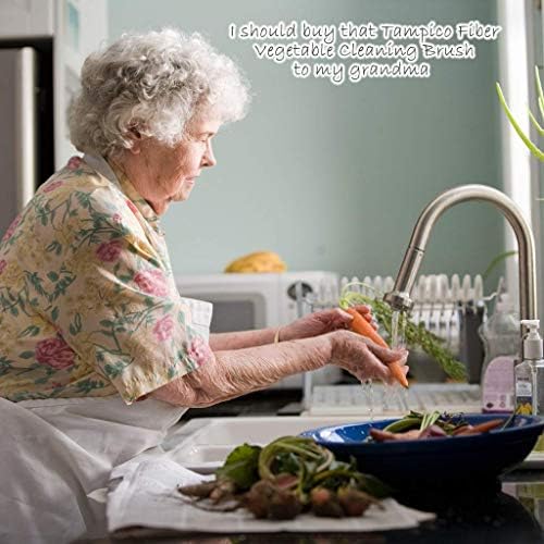 AMERWASH PLUS Classic Dish Brush