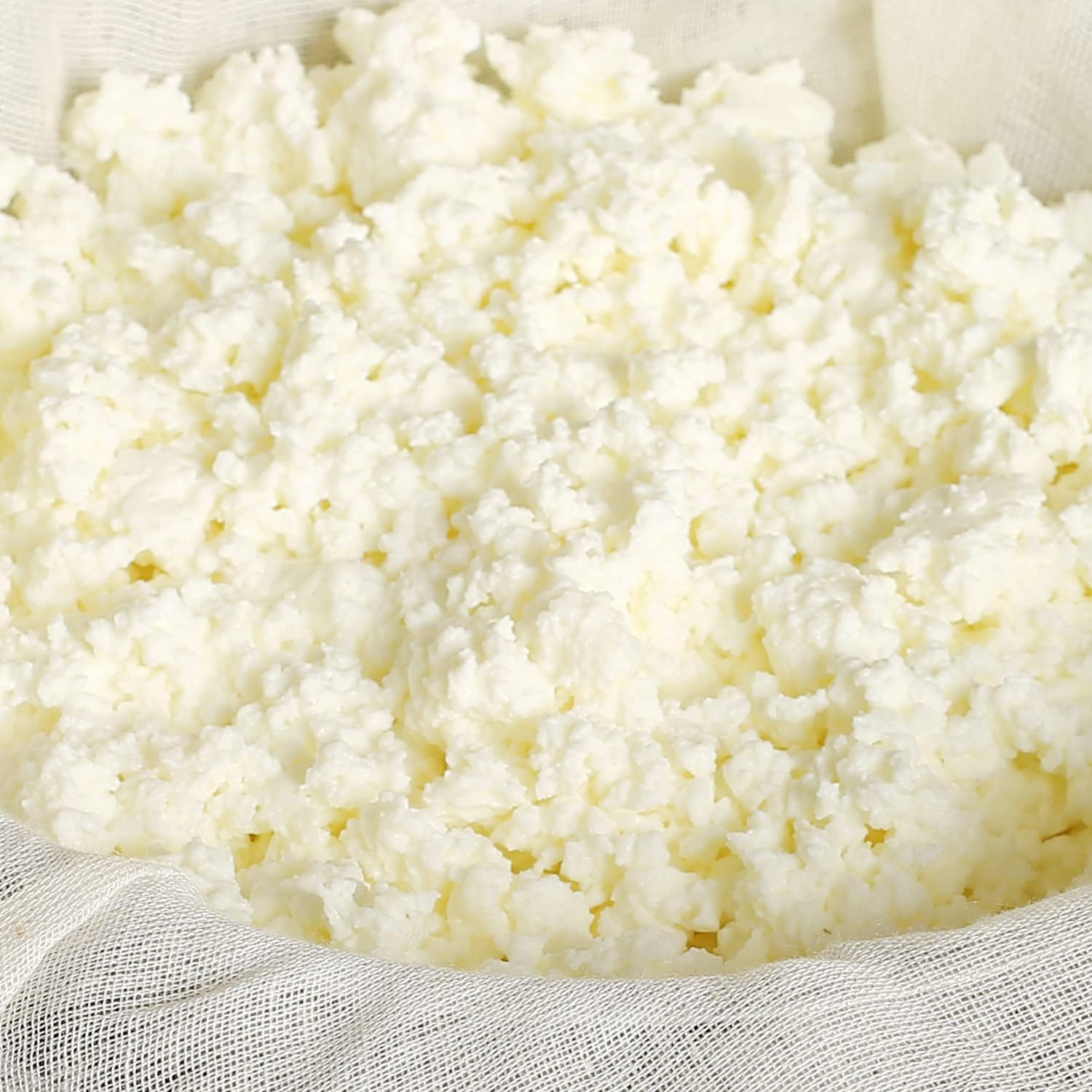 Grade 100 Cheese Clotted Set